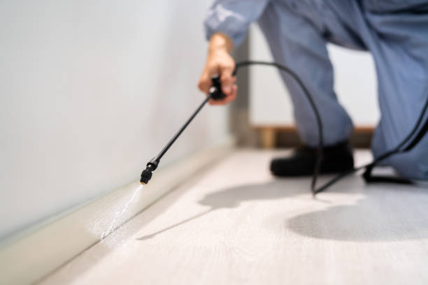 Licensed Pest Control service in Chester, IL - Show Me Pest Control