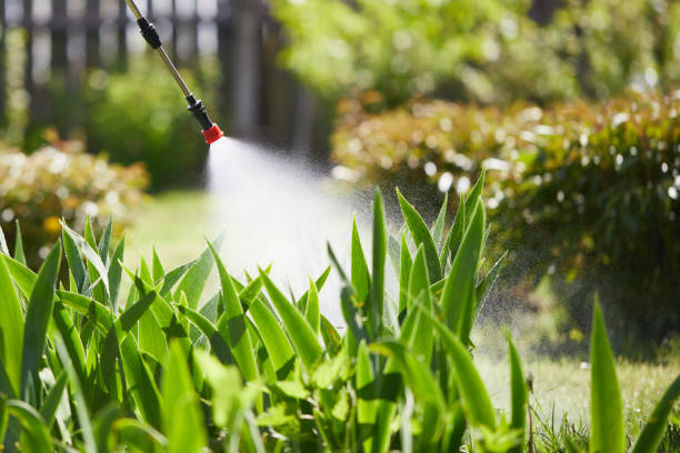 24/7 Emergency Wasp Removal experts in Chester, IL