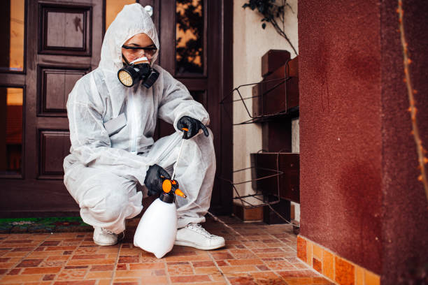 Reliable Wasp Removal contractor in Chester, IL by Show Me Pest Control