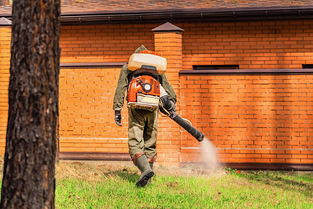 Top rated local Wasp Removal specialists in Chester, IL